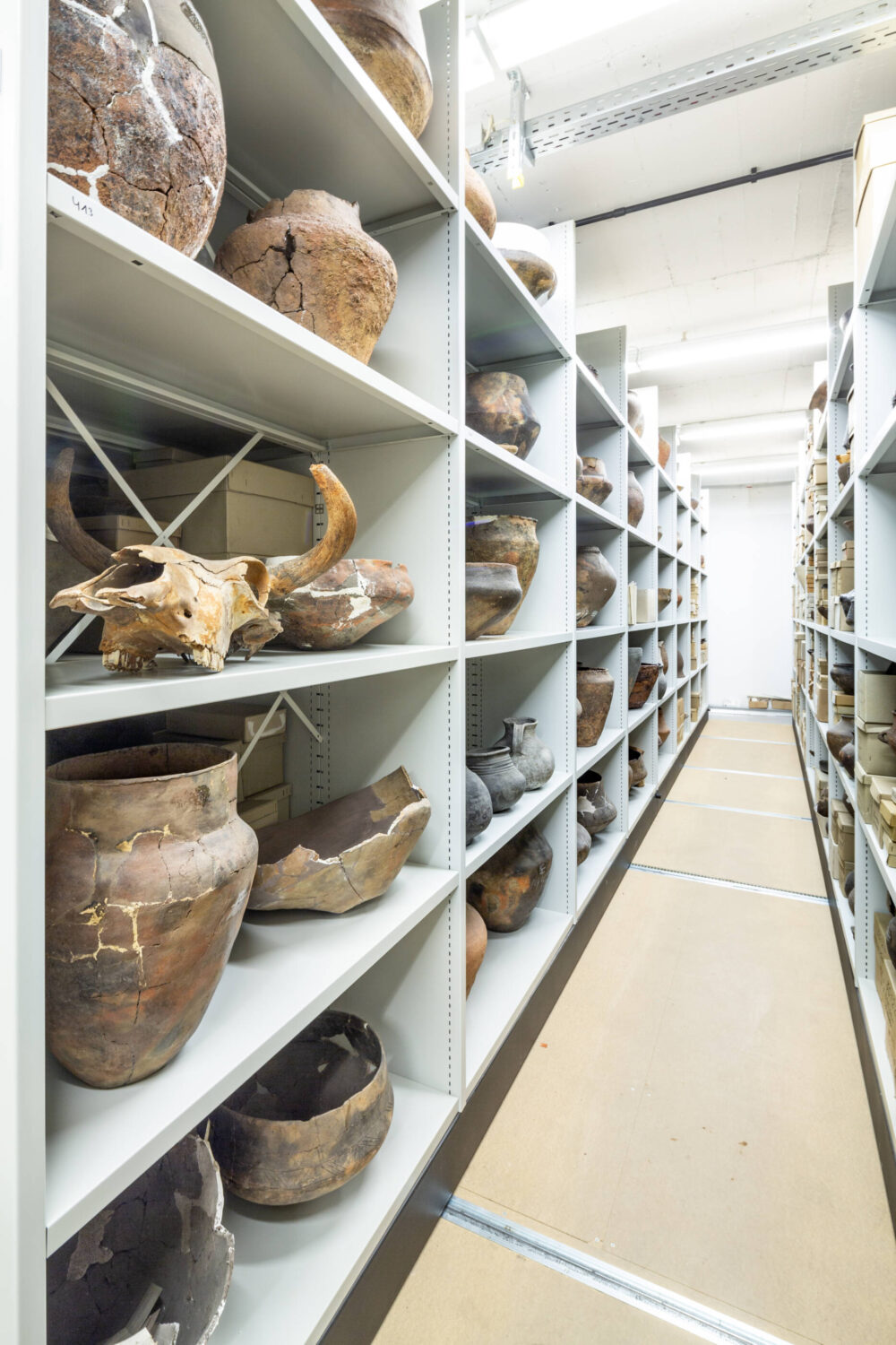 Blick ins archäologische Depot: In den Regalen lagern viele Gefäße, auch ein gehörnter Tierschädel ist zu sehen.