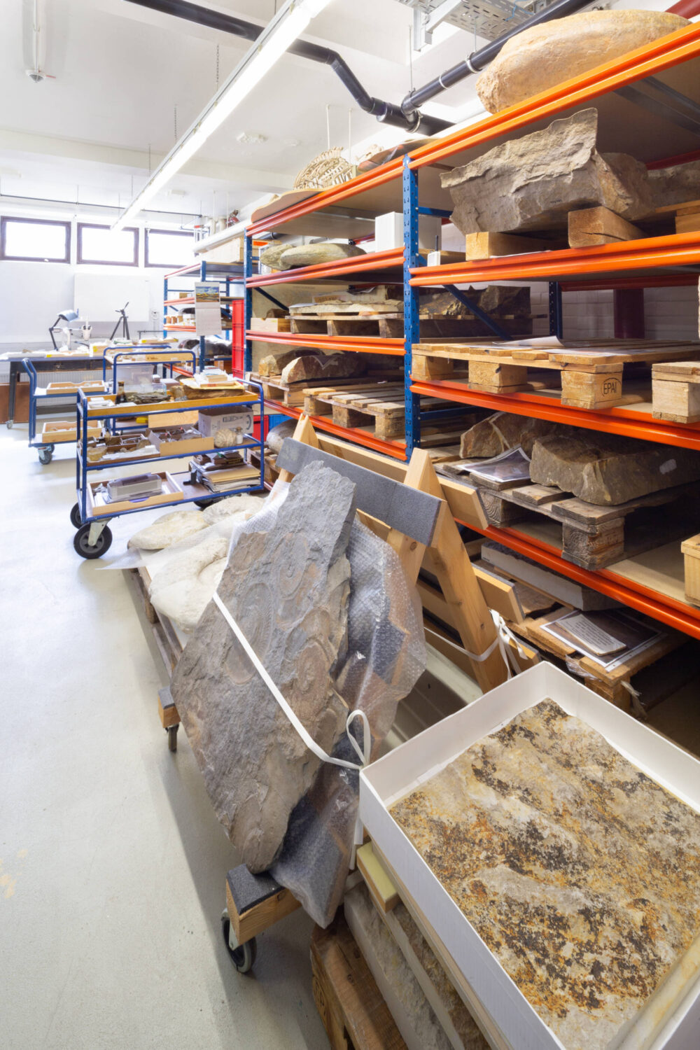 Foto von Regalen und gefüllten Rollwagen im Depot der Geologie gefüllt mit Steinen verschiedener Größen.