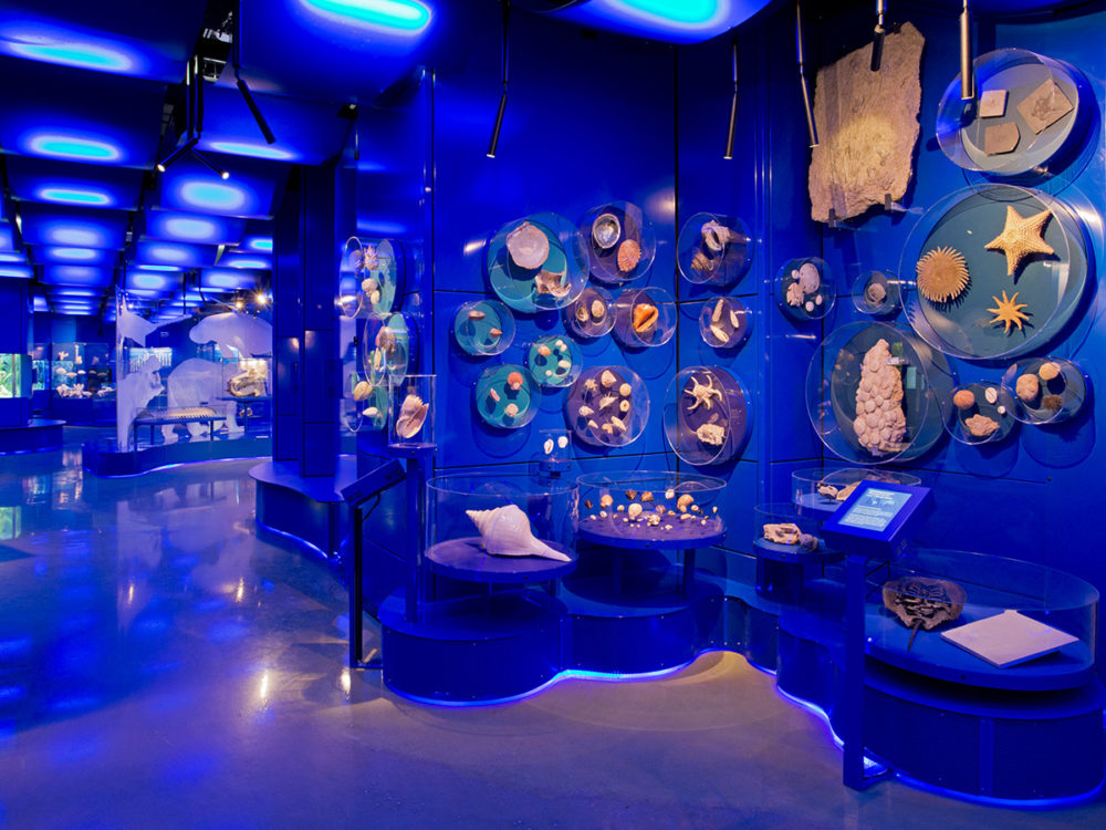 Blick in die mit blauen Farbtönen gestalteten WasserWelten.