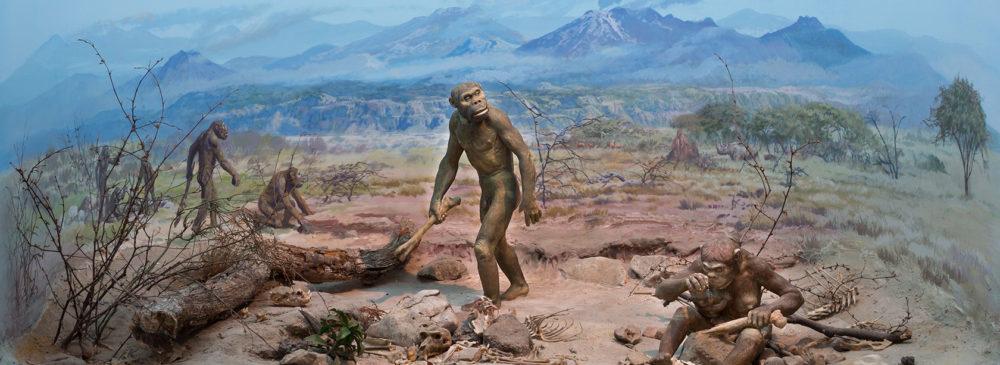 Bild eines Dioramas von einem Lagerplatz einer Frühmenschengruppe.